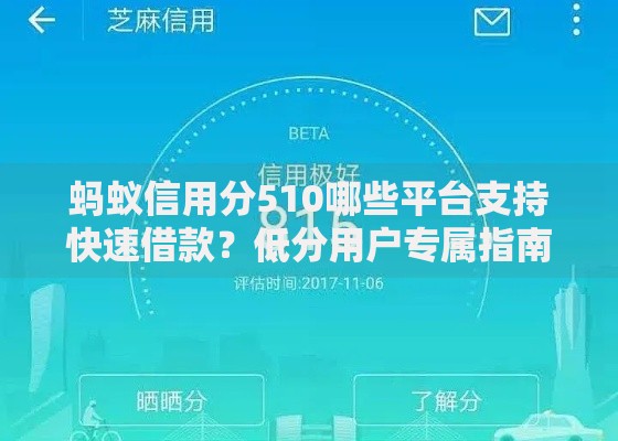 蚂蚁信用分510哪些平台支持快速借款？低分用户专属指南