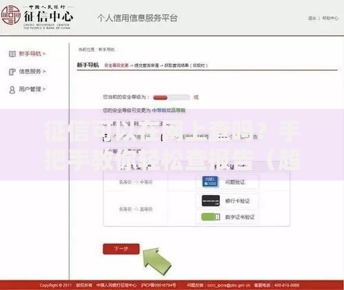 征信可以在网上查吗？手把手教你轻松查报告（超详细攻略）