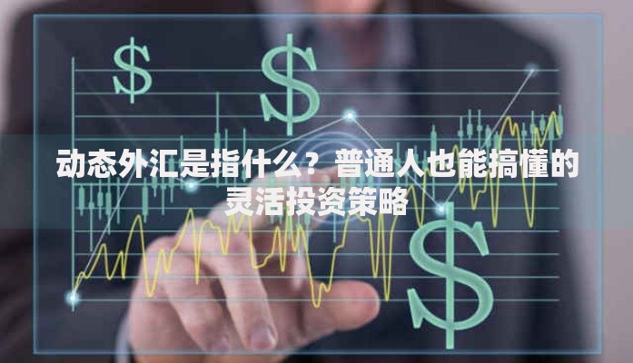 动态外汇是指什么？普通人也能搞懂的灵活投资策略