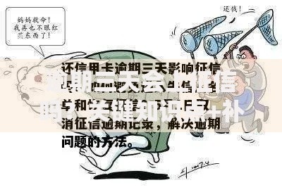 逾期三天会上征信吗？关键知识点+补救方法全解析