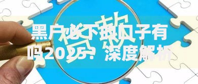 黑户必下的口子有吗2025？深度解析未来贷款渠道与风险应对