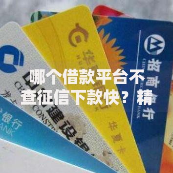 哪个借款平台不查征信下款快？精选快速下款渠道解析