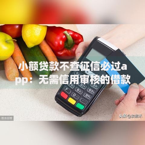 小额贷款不查征信必过app：无需信用审核的借款平台有哪些？