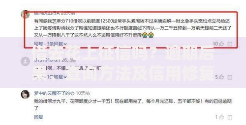 借去花上征信吗？逾期后果、查询方法及信用修复全解析