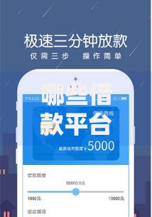 哪些借款平台容易借到钱？解析高通过率贷款渠道