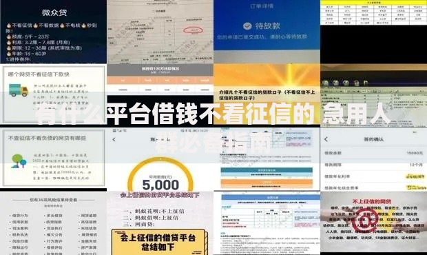有什么平台借钱不看征信的 急用人群必备指南