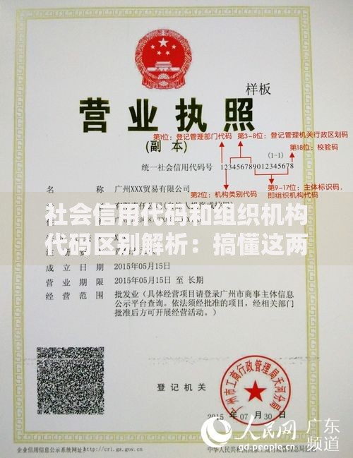 社会信用代码和组织机构代码区别解析：搞懂这两个“身份证”的不同用途