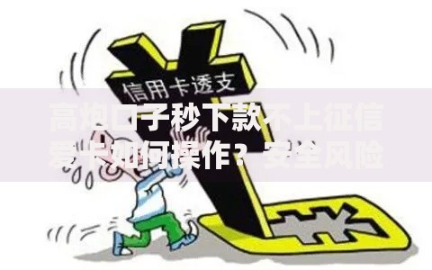 高炮口子秒下款不上征信爱卡如何操作?安全风险深度解析 高炮口子秒下款不上征信爱卡如何操作?安全风险深度解析
