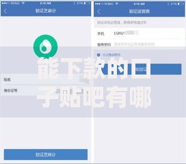 能下款的口子贴吧有哪些靠谱选择？全面解析贷款渠道攻略