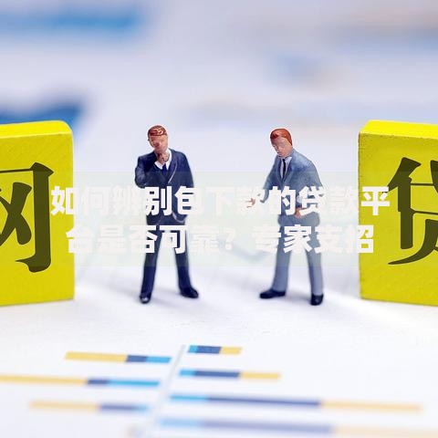 如何辨别包下款的贷款平台是否可靠？专家支招