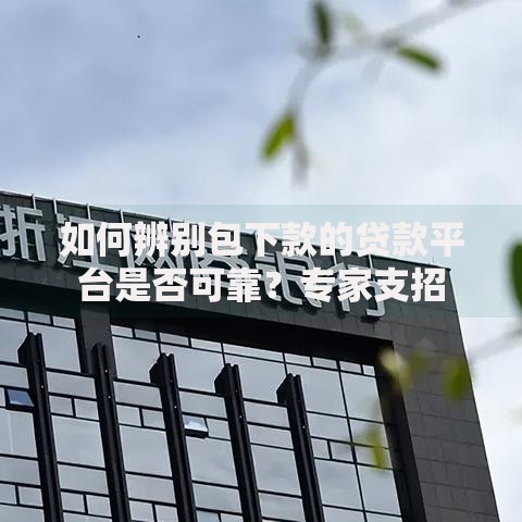 如何辨别包下款的贷款平台是否可靠？专家支招