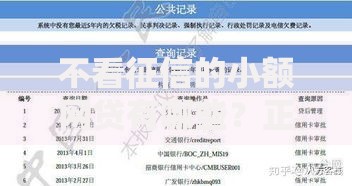 不看征信的小额网贷有哪些？正规平台推荐与申请攻略
