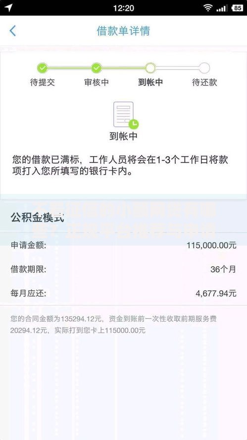 不看征信的小额网贷有哪些？正规平台推荐与申请攻略