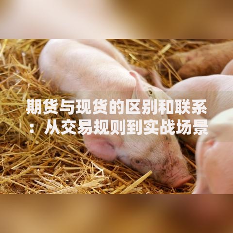 期货与现货的区别和联系：从交易规则到实战场景全解析