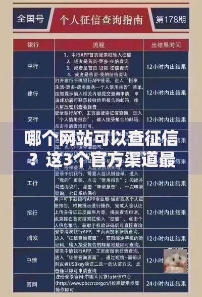 哪个网站可以查征信？这3个官方渠道最靠谱