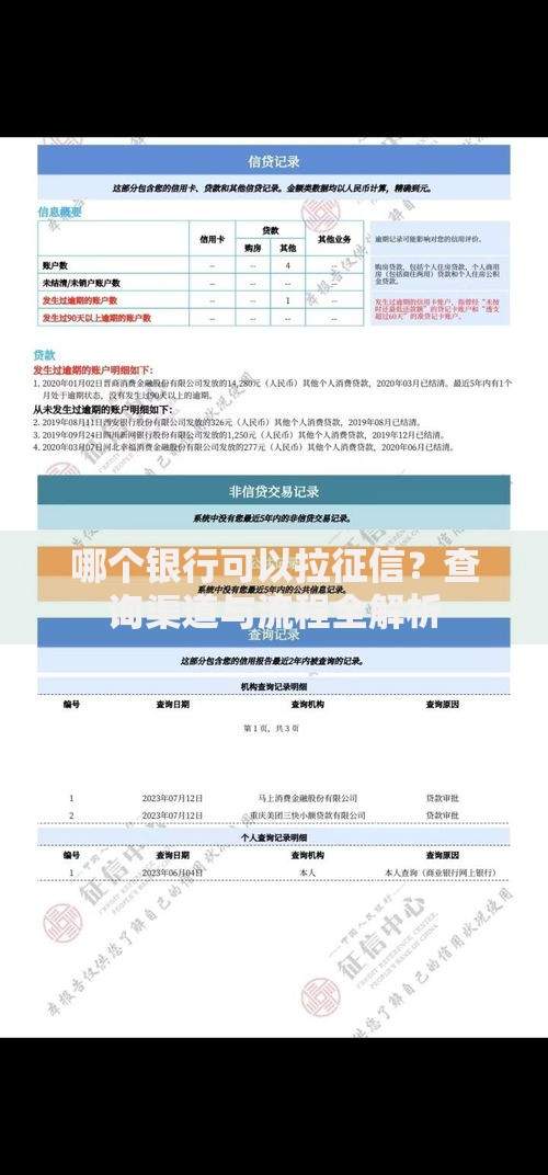 哪个银行可以拉征信？查询渠道与流程全解析