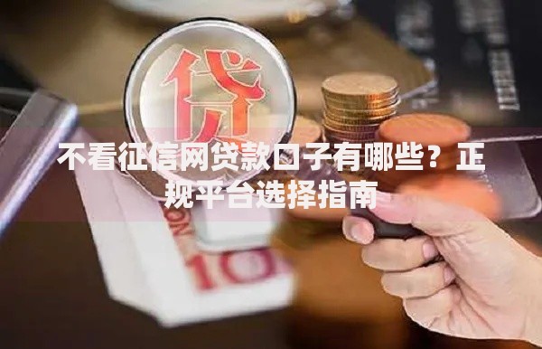 不看征信网贷款口子有哪些？正规平台选择指南