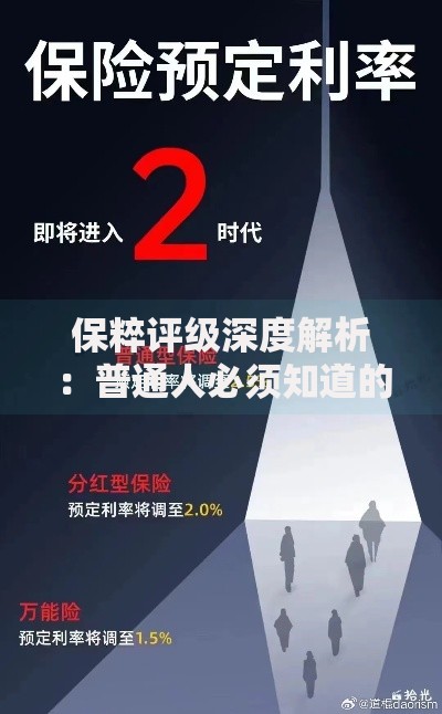 保粹评级深度解析：普通人必须知道的财富安全密码