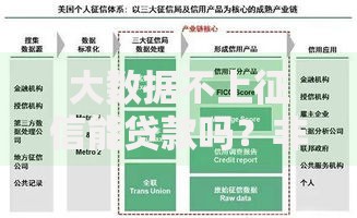 大数据不上征信能贷款吗？非征信贷款渠道深度解析