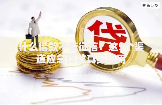 什么借款不查征信？这5个渠道应急借款真实可用