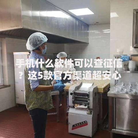 手机什么软件可以查征信？这5款官方渠道超安心
