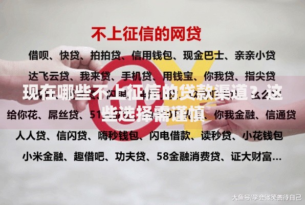 现在哪些不上征信的贷款渠道？这些选择需谨慎