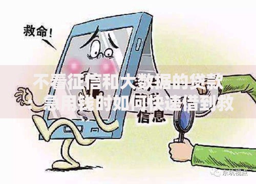 不看征信和大数据的贷款：急用钱时如何快速借到救命钱？