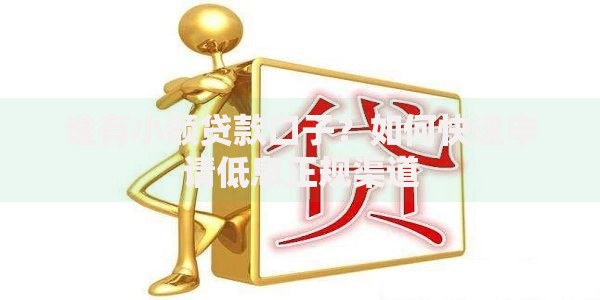 谁有小额贷款口子？如何快速申请低息正规渠道