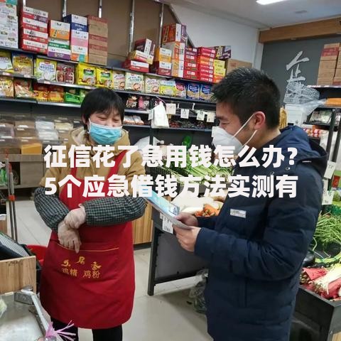 征信花了急用钱怎么办？5个应急借钱方法实测有效