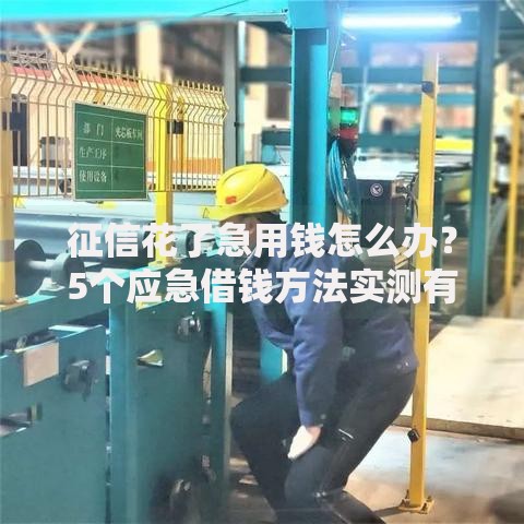 征信花了急用钱怎么办？5个应急借钱方法实测有效