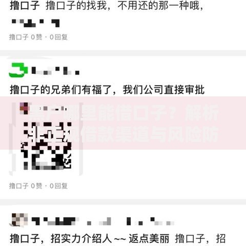 黑户哪里能借口子？解析非正规借款渠道与风险防范
