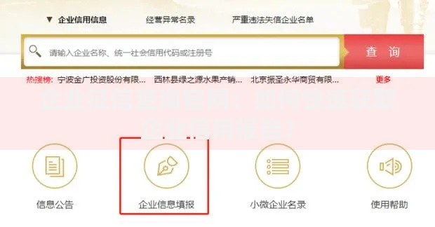 企业征信查询官网：如何快速获取企业信用报告？
