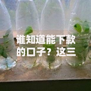 谁知道能下款的口子？这三类平台通过率高