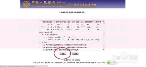 征信查询结果异常怎么办？手把手教你读懂信用密码