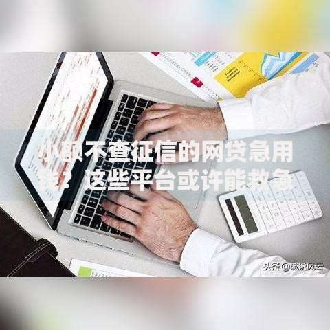 小额不查征信的网贷急用钱？这些平台或许能救急！