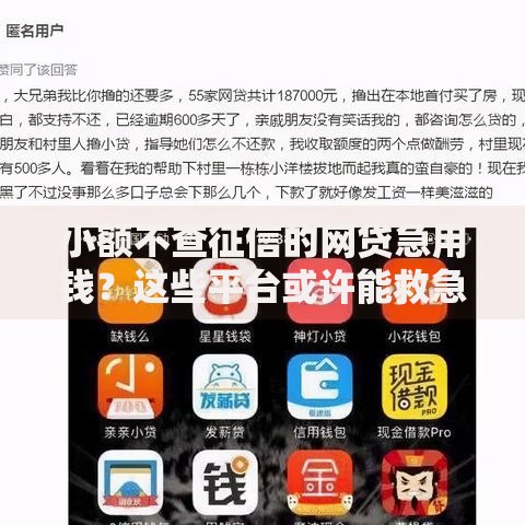 小额不查征信的网贷急用钱？这些平台或许能救急！