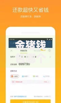 金猪钱包哪个系列口子适合用户申请?产品深度解析 金猪钱包哪个系列口子适合用户申请?产品深度解析