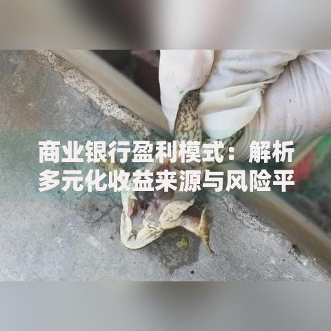 商业银行盈利模式：解析多元化收益来源与风险平衡之道