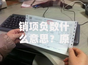 销项负数什么意思？原来和发票红冲、退货退款有关！