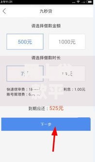 网上贷款平台哪个好下款快点 最新审核标准解析