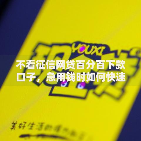 不看征信网贷百分百下款口子，急用钱时如何快速解决资金难题？