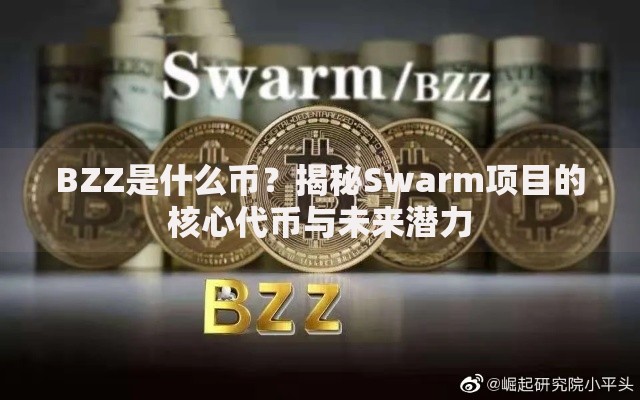 BZZ是什么币？揭秘Swarm项目的核心代币与未来潜力