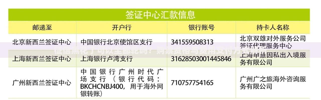 征信黑花了可以坐邮轮吗？购票资格与费用支付方式解析