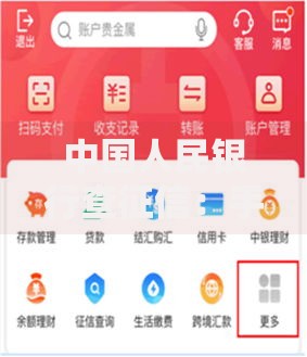 中国人民银行查征信：手把手教你读懂信用报告