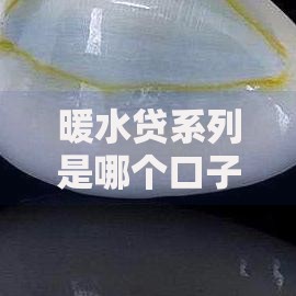 暖水贷系列是哪个口子？解析正规借款渠道与风险防范
