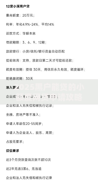 2025黑户能贷的小额度网贷申请攻略解析