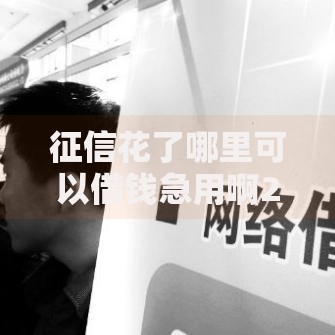 征信花了哪里可以借钱急用啊20岁？这6个渠道快速解决资金难题