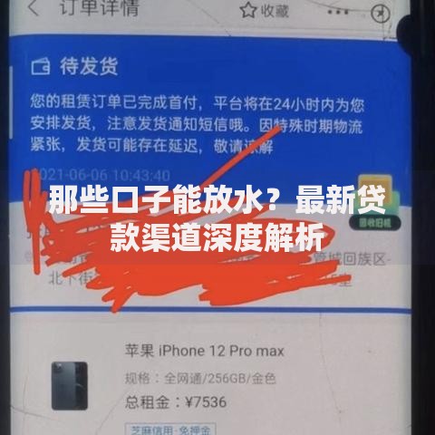 那些口子能放水？最新贷款渠道深度解析