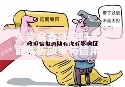 入党会查征信吗？全面解析政审与信用审查的关系