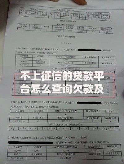不上征信的贷款平台怎么查询欠款及应对策略解析